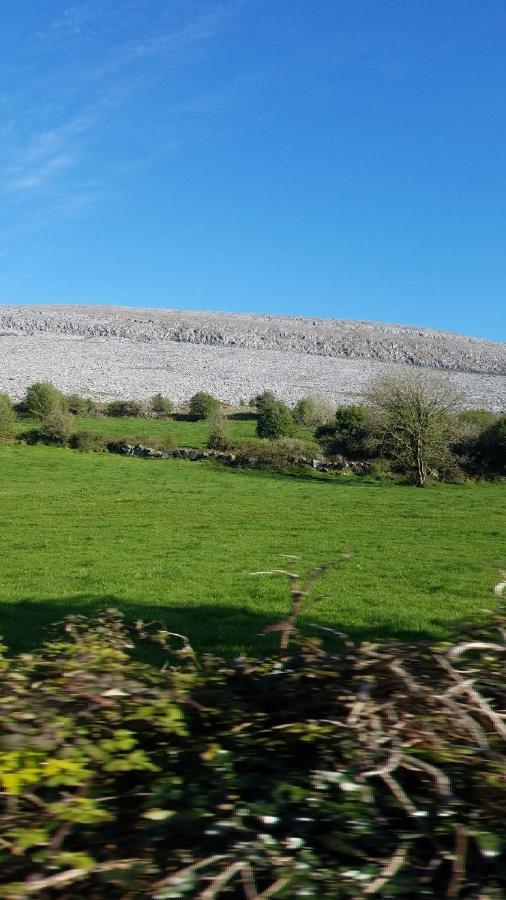 Burren Rock Farmhouse B&B Turlough  Екстер'єр фото