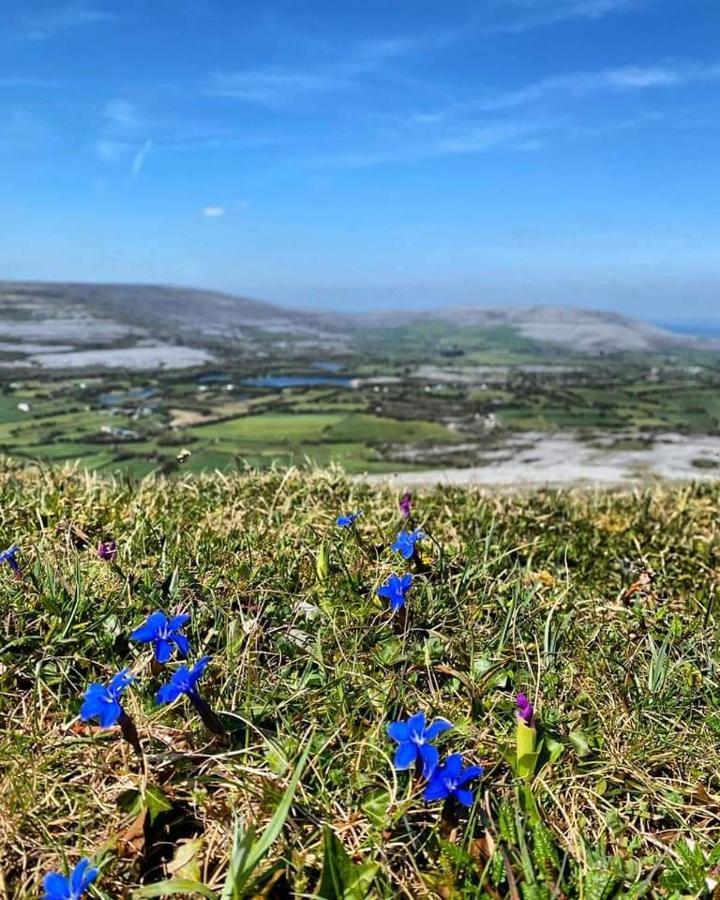 Burren Rock Farmhouse B&B Turlough  Екстер'єр фото